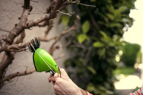 Ножницы садовые Greenworks G3,6HS 3,6V 2903307 (16 см) аккумуляторные — детальное фото